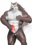 abs anthro ball_camel_toe balls biceps biped black_nose chest_tuft clothed clothing condom condom_in_mouth erection fur genitals green_eyes grey_body grey_fur humanoid_genitalia humanoid_penis kemono looking_at_viewer male mouth_hold muscular muscular_anthro muscular_male neck_tuft object_in_mouth open_mouth partially_clothed penis penis_poking_out scar sexual_barrier_device simple_background skimpy smile solo standing thong topless tuft underwear white_background white_body white_fur iceman1984 sega shining_(sega) shining_tears shining_wind rouen_(shining) canid canine canis mammal wolf 2013 digital_media_(artwork) hi_res portrait three-quarter_portrait