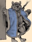 anthro bathrobe bottomless bugchasing clothed clothing hairy hiv looking_at_viewer male poz robe slightly_chubby smoking smoking_pipe solo std yagi_b._(artist) canid canine fox mammal