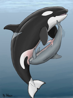 cetacean dolorcin dolphin duo female feral male mammal marine orca penis pussy size_difference snout_fuck tapering_penis unbirthing vore whale
Rating: Explicit
Score: 6
User: chdgs
Date: December 23, 2010 cetacean dolorcin dolphin duo female feral male mammal marine orca penis pussy size_difference snout_fuck tapering_penis unbirthing vore whale
Rating: Explicit
Score: 6
User: chdgs
Date: December 23, 2010