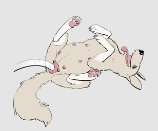 anatomically_correct anatomically_correct_genitalia anatomically_correct_vulva animal_genitalia animal_vulva belly big_belly black_nose bodily_fluids butt canine_genitalia canine_vulva cum cum_inflation cum_inside eyebrows eyelashes female feral fur genital_fluids genitals green_eyes hose hose_inflation inflation multi_nipple nipples open_mouth pawpads paws pink_nipples pink_pawpads pink_vulva presenting presenting_hindquarters presenting_vulva quadruped simple_background solo tan_body tan_fur tongue tongue_out vulva white_body white_fur white_legs causationcorrelation canid canine canis domestic_dog mammal 2022 dated digital_drawing_(artwork) digital_media_(artwork) signature