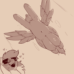 big_teats blush bodily_fluids cutie_mark duo eyewear female female/female feral flying hair heart_symbol hooves huge_teats long_hair navel open_mouth quadruped saliva sunglasses sweat teats teeth wings cold-blooded-twilight friendship_is_magic hasbro my_little_pony mythology rainbow_dash_(mlp) spitfire_(mlp) wonderbolts_(mlp) equid equine mammal mythological_creature mythological_equine pegasus 1:1 2025 hi_res monochrome