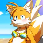 2_tails anthro bedroom_eyes blue_sky blush blush_lines bodily_fluids cheek_tuft chest_tuft clothed clothing eyewear facial_tuft goggles goggles_around_neck inner_ear_fluff looking_at_viewer male multi_tail narrowed_eyes navel seaside seductive sitting sitting_on_ground sky solo surfboard sweat sweatdrop tail topless tuft young young_male nakayan sega sonic_the_hedgehog_(series) miles_prower canid canine fox mammal 1:1