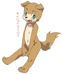 2014 anthro blush brown_body brown_fur canid canine canis domestic_dog fur green_eyes happy japanese_text looking_at_viewer male mammal navel noriburu open_mouth simple_background solo tail tan_body tan_fur text translation_request white_background