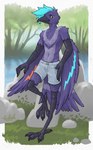 anthro beak beak_piercing blue_body blue_hair bottomwear claws clothed clothing dark_body dark_skin facial_piercing feather_markings feathered_wings feathers feet forest forest_background furgonomics furry-specific_piercing grass hair male markings multicolored_body multicolored_feathers nature nature_background nude outside partially_clothed piercing plant river rock shorts slim smile solo tail talons toes tree tuft water wings yellow_eyes tailbyte cade_harrow avian bird corvid corvus_(genus) crow oscine passerine absurd_res digital_media_(artwork) hi_res