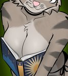 anthro book breast_squish breasts choker close-up clothing facial_piercing female grin jewelry necklace nose_piercing panties piercing side-tie_clothing side-tie_panties smile solo squish underwear yaboyfoz! book_and_boob morgan_(yaboyfoz!) bobcat felid feline lynx mammal hi_res meme