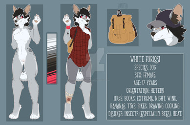 anthro backpack clothed clothing featureless_crotch female hat headgear headwear nude off/on side_view solo text dannoitanart canid canine canis domestic_dog mammal english_text hi_res model_sheet multiple_images