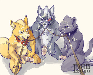 5_fingers anthro balls black_nose bodily_fluids bound collar cum cum_covered cum_on_belly cum_on_body cum_on_chest cum_on_face cum_on_head cum_on_muzzle cum_on_penis cum_on_shoulder erection fingers fur genital_fluids genitals group hair humanoid_genitalia humanoid_hands humanoid_penis kneeling leash looking_at_viewer male melanistic messy muzzle_(object) muzzled nude penis rope submissive tail tenaflux nintendo star_fox fox_mccloud panther_caroso wolf_o'donnell canid canine canis felid fox mammal pantherine wolf 2016