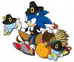 ambiguous_gender anthro clothing food fruit group hat headgear headwear holidays male plant pumpkin simple_background white_background yuji_uekawa sega sonic_the_hedgehog_(series) thanksgiving sonic_the_hedgehog chao_(sonic) eulipotyphlan hedgehog mammal hi_res official_art