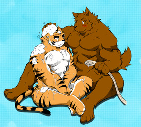 abs anthro anthro_on_anthro assisted_bathing athletic bath bathing biceps big_muscles black_body black_fur blue_background blush brown_body brown_fur chest_tuft duo frown fur green_eyes grin male muscular muscular_male nude orange_body orange_fur pecs pose shower shower_head shower_hose simple_background sitting smile soap tail tuft water white_body white_fur 4dll3r kokukokuboo joey_(kokuhane) kyle_(kokuhane) canid canine felid mammal pantherine tiger