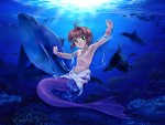 brown_hair female green_eyes group hair nipples split_form sun underwater water mutsuki_(moonknives) cardcaptor_sakura sakura_kinomoto cetacean dolphin fish humanoid_merfolk mammal marine merfolk toothed_whale 4:3 hi_res