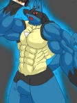 abs anthro anthrofied biceps big_muscles black_body black_fur blue_body blue_fur bulge fur gloves_(marking) male markings muscular muscular_anthro muscular_male open_mouth pecs pokemorph red_eyes solo tail yellow_body yellow_fur kyuuhari muscleartguy nintendo pokemon canid canine generation_4_pokemon lucario mammal pokemon_(species) 2012 3:4 archived_source hi_res