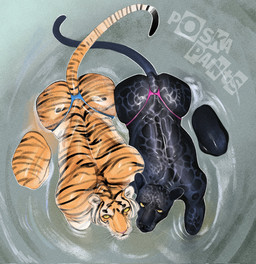 anthro black_body black_fur blue_clothing blue_thong blue_underwear butt clothed clothing duo fur looking_at_viewer looking_up looking_up_at_viewer male male/male markings melanistic multicolored_body multicolored_fur muscular muscular_anthro muscular_male muscular_thighs orange_body orange_fur partially_submerged pink_clothing pink_thong pink_underwear spots spotted_body spotted_fur striped_body striped_fur stripes tail text thong thong_only topless underwear underwear_only water whiskers white_body white_fur yellow_eyes poskapaints felid jaguar mammal pantherine tiger 2025 artist_name hi_res