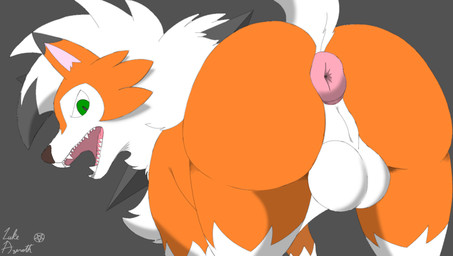 animal_genitalia anus balls butt fangs feral fur genitals grey_background hair looking_at_viewer male open_mouth orange_body quadruped raised_tail rear_view simple_background solo tail teeth tongue white_body white_fur lukeazeroth89 nintendo pokemon canid canine dusk_lycanroc generation_7_pokemon lycanroc mammal pokemon_(species) digital_drawing_(artwork) digital_media_(artwork) shaded signature