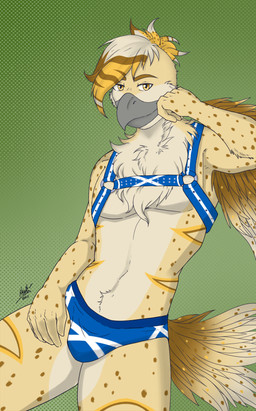 anthro bulge clothing feathered_tail feathers flag flag_clothing flag_print harness leather looking_at_viewer male o-ring scotland_flag scottish smile smiling_at_viewer smirk smirking_at_viewer solo tail underwear winged_arms wings pistacho rye_owl_(character) avian bird owl absurd_res hi_res