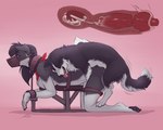 2015 5:4 anatomically_correct anatomically_correct_genitalia anatomically_correct_penis animal_genitalia animal_penis animal_pussy anthro anthro_on_feral anthro_penetrated ascot bandanna bdsm bestiality biped bodily_fluids bondage border_collie bound breasts breeding_stand canid canine canine_genitalia canine_penis canine_pussy canis cervical_contact cervix clothing collar collie conditional_dnp cum cum_in_pussy cum_in_uterus cum_inside cutaway digital_media_(artwork) dizfoley domestic_dog dominant dominant_feral dominant_male duo ejaculation erection female female_on_bottom female_on_feral female_penetrated feral feral_dominating_anthro feral_penetrating feral_penetrating_anthro from_behind_position fuck_bench fully_bound fur genital_fluids genitals herding_dog hi_res internal intraspecies intraspecies_bestiality kerchief knot knotting larger_anthro larger_female larger_penetrated looking_pleasured male male/female male_dominating_female male_on_anthro male_on_top male_penetrating male_penetrating_female mammal mounting muzzle_(object) muzzled neckerchief nude on_bottom on_top orgasm pastoral_dog penetration penile penile_penetration penis penis_in_pussy pussy quadruped restraints sex sheepdog side_view simple_background size_difference smaller_feral smaller_male smaller_on_top submissive submissive_anthro submissive_female tongue tongue_out uterus vaginal vaginal_knotting vaginal_penetration vein veiny_penis white_body white_fur xenoforge