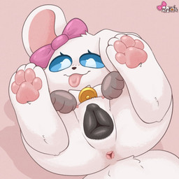 animal_genitalia animal_vulva anus bell bell_collar belly_nipples black_vulva blep blue_eyes bow_ribbon butt canine_genitalia canine_vulva collar feet female female_feral feral genital_focus genitals hindpaw one_ear_up paws presenting presenting_anus presenting_hindquarters presenting_vulva quadruped raised_leg shadow simple_background solo tail tan_background tongue tongue_out vulva vulva_focus pankatares pankata canid canine canis domestic_dog mammal 1:1 2026 digital_drawing_(artwork) digital_media_(artwork) shaded signature soft_shading