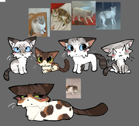 :< ^w^ ambiguous_gender blue_sclera blush blush_lines female feral green_sclera grey_background group realistic realistic_feral shy simple_background whiskers zyxxenise domestic_cat felid feline felis mammal reference_image