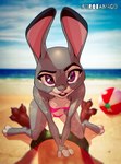 anthro beach bent_over bikini borotamago bottomwear breasts canid canine clothing disney duo female female_on_top first_person_view fox hi_res judy_hopps lagomorph leporid male male/female male_on_bottom mammal nick_wilde on_bottom on_top rabbit red_fox seaside shorts swimwear true_fox two-piece_swimsuit zootopia zootopia_shorts