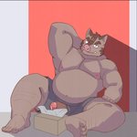 anthro brown_body brown_fur clothing fur genitals kemono male moobs nipples overweight overweight_anthro overweight_male penis sitting solo underwear taigayukyu knights_college hermann_(knights_college) mammal suid suine sus_(pig) wild_boar 2021