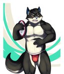 anthro barazoku bulge clothing jockstrap kemono male muscular muscular_anthro muscular_male rugby solo underwear vitaly4321 canid canine canis mammal wolf hi_res