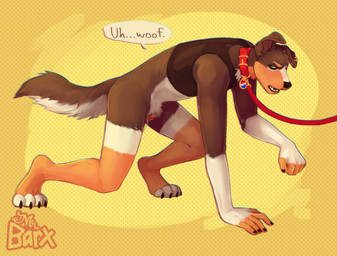 all_fours andromorph andromorph_anthro anthro bdsm big_clitoris bodily_fluids brown_body brown_fur chest_binder clitoris clothing collar fur genital_fluids genitals intersex intersex_anthro leash leashed_collar multicolored_body multicolored_fur open_mouth orange_body orange_fur petplay puppyplay roleplay simple_background solo submissive submissive_andromorph submissive_anthro submissive_intersex underwear vaginal_fluids visibly_trans vulva walkies white_body white_fur yellow_background mrbarx canid canine canis domestic_dog mammal trans_(lore) trans_man_(lore)
