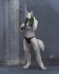 4_toes abs anthro athletic biceps biped black_nose blue_eyes bulge chest_tuft claws clothed clothing detailed_bulge digitigrade feet fur genital_outline green_eyes grey_background grin inside jockstrap looking_at_viewer male muscular muscular_anthro pawpads paws pecs penis_outline pose raised_arm realistic shower shower_head shower_hose simple_background smile solo speedo standing swimwear tail toe_claws toes topless towel towel_around_neck tuft underwear water wet white_body white_fur lion21 moonblazewolf canid canine canis mammal wolf hi_res signature