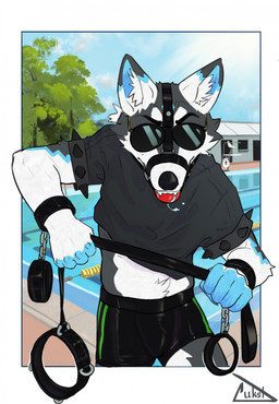 anthro ball_gag blue_body blue_fur bottomwear clothing collar cuff_(restraint) detailed_background eyewear fur gag gagged gagged_dominant grey_body grey_fur halter holding_collar holding_leash holding_object latex latex_bottomwear latex_clothing latex_panties latex_shorts latex_underwear leash leashed_collar looking_at_viewer male male_anthro multicolored_body multicolored_fur panties plant pool poolside restraints shirt shorts sky solo standing sunglasses sunglasses_on_face topwear tree underwear wearing_sunglasses white_body white_fur lukst canid canine canis domestic_dog mammal hi_res
