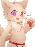 4_fingers anthro blush blush_lines bottomwear briefs briefs_only chest_tuft clothed clothing colored_seam_underwear fingers fluffy fur heterochromia inner_ear_fluff kemono looking_at_viewer male navel open_palm pawpads pink_nose pink_pawpads purple_eyes red_eyes red_seam_briefs red_seam_underwear short_tail shota solo tail text topless tuft underwear underwear_only white_body white_bottomwear white_briefs white_clothing white_ears white_fur white_inner_ear white_inner_ear_fluff white_underwear young young_anthro young_male naegi canid canine fox mammal 2022 digital_media_(artwork) hi_res