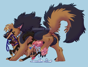 anatomically_correct anatomically_correct_genitalia anatomically_correct_penis anatomically_correct_vulva animal_genitalia animal_penis animal_vulva balls big_balls big_tail black_balls black_body black_claws black_fur black_nose black_tail blue_background blue_eyes blush bodily_fluids brown_body brown_fur brown_tail canine_genitalia canine_penis canine_vulva claws clenched_teeth collar cum cum_in_vagina cum_inside cum_on_ground cum_splatter duo eyes_closed female female_penetrated feral feral_on_feral feral_penetrated feral_penetrating fur genital_fluids genitals knot larger_feral larger_male leash leash_pull long_tail male male/female male_penetrating male_penetrating_female mouth_hold multicolored_body multicolored_fur multicolored_tail open_mouth orgasm pawpads paws penetration penile penile_penetration penis penis_in_vagina pink_pawpads pink_penis pink_vulva quadruped sex simple_background size_difference smaller_female smaller_feral smaller_penetrated tail teeth two_tone_body two_tone_fur two_tone_tail vaginal vaginal_penetration vein veiny_penis vulva lornsky nadia_(voxly) rip_(psy101) canid canine canis domestic_dog german_shepherd herding_dog mammal pastoral_dog 2019 digital_media_(artwork) watermark