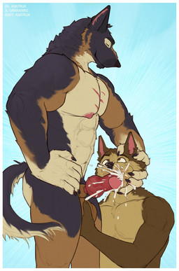 abs anthro anthro_on_anthro anthro_penetrated anthro_penetrating anthro_penetrating_anthro aroused aroused_by_another aroused_face aroused_male aroused_smile ball_fondling ball_grab balls barazoku biceps big_muscles big_pecs black_body black_fur blue_background bodily_fluids border brown_body brown_eyes brown_fur chest_scar claws cum cum_from_penis cum_in_mouth cum_inside cum_on_another cum_on_face cum_on_hand cum_on_own_hand cum_on_own_penis cum_on_partner cum_on_partner's_face cum_on_penis cum_on_self cum_splatter cum_spurt cumming_from_penetration cumming_while_penetrating cumshot cumshot_in_mouth dominant dominant_anthro dominant_male domination/submission drinking drinking_cum duo ejaculating_on_another ejaculating_on_self ejaculating_while_penetrating ejaculation ejaculation_while_penetrating erection eyebrows eyes_closed fellatio fondling fur genital_fluids genitals grabbing_head grope hand_on_balls hand_on_head hand_on_side head_grab head_rub holding_balls holding_head holding_side kneeling kneeling_oral_position knot knotted_penis licking looking_pleasured male male/male male_penetrated male_penetrating male_penetrating_male manly muscular muscular_anthro muscular_arms muscular_male muscular_thighs nipples nude nude_anthro nude_male oral oral_penetration orgasm pecs penetration penile penile_penetration penis penis_in_mouth penis_lick rubbing_head saliva saliva_on_penis scar sex side_grab simple_background standing submissive submissive_anthro submissive_male sucking swallowing tail thick_arms thick_thighs tongue tongue_out white_body white_border white_fur asatrua cerffou canid canine canis domestic_dog mammal wolf hi_res