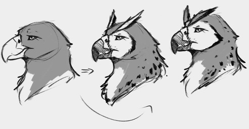 anthro female female_anthro glistening glistening_eyes mouth_closed narrowed_eyes side_view simple_background solo jezzlen avian bird falcon falconid hybrid owl headshot_portrait monochrome portrait sketch sketch_page