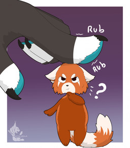 anthro black_body black_fur claws duo fingers fur handpaw macro male male/male micro orange_body orange_fur pawpads paws rubbing simple_background tail white_body white_fur ustak_nella ailurid mammal red_panda digital_media_(artwork) hi_res