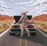 bottomwear butt butt_pose car clothing crop_top denim denim_bottomwear denim_clothing feet jeans looking_at_viewer male pants paws pose shirt solo topwear vehicle thejoyfuldragon delorean foxy_rainbow_fluff canid canine fennec_fox fox mammal true_fox hi_res