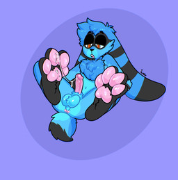 anthro anus balls bedroom_eyes black_body black_fur blue_background blue_body blue_fur bodily_fluids butt cheek_tuft chest_tuft cum cum_drip cum_on_feet cum_on_own_feet cum_on_self cum_string dripping erection facial_tuft feet femboy floppy_ears fur genital_fluids genitals half-closed_eyes humanoid_genitalia humanoid_penis looking_pleasured lying male narrowed_eyes on_back open_mouth pawpads paws penis perineum pink_pawpads pink_penis presenting presenting_anus presenting_balls presenting_hindquarters presenting_penis seductive simple_background solo spread_legs spreading tuft xing1 lagomorph leporid mammal rabbit absurd_res hi_res