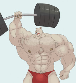 abs anthro armpit_hair barazoku barbell big_bulge big_muscles big_pecs bodily_fluids body_hair brown_body bulge chest_hair claws clothing exercise fangs happy_trail huge_muscles hyper hyper_muscles male muscular muscular_anthro muscular_arms muscular_male navel neck_muscles nipples obliques open_mouth pecs simple_background solo sweat teeth underwear vein veiny_muscles weightlifting workout jabuhusky beastars riz_(beastars) bear mammal 2021 hi_res