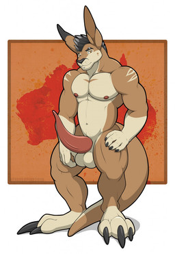 3_toes anthro balls big_claws big_penis black_claws black_hair claws erection feet genitals hair looking_at_viewer male markings nipples penis piercing pink_nipples pink_penis simple_background solo tan_body toes white_background vexedlupine kangaroo macropod mammal marsupial 2018 hi_res