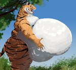 anthro belly belly_grab belly_overhang big_belly black_stripes blue_sky breath fur hand_on_belly holding_stomach huge_belly hyper hyper_belly looking_at_belly looking_down looking_down_at_self male morbidly_obese morbidly_obese_anthro morbidly_obese_male obese obese_anthro obese_male open_mouth orange_body orange_fur outside overweight overweight_anthro overweight_male panting pink_tongue plant sharp_teeth sky solo stripes teeth tongue tongue_out tree white_belly feedtheboss felid mammal pantherine tiger absurd_res hi_res