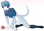 clothing genitals legwear male penis shirt solo stockings topwear unknown_artist vkontakte sima_(vkontakte) domestic_cat felid feline felis humanoid mammal