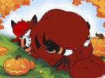 autumn_leaves belly big_belly clothing feral field fluffy fluffy_hair fluffy_tail food footwear fruit glowing glowing_eyes hair imprint jack-o'-lantern lying male male_pred on_back pawpads paws plant pumpkin pumpkin_patch same_size_vore smug_face socks solo struggling struggling_prey swallowed_whole tail torn_clothing vore griseo ira_(ira_the_carnivore) canid canine fox mammal red_fox true_fox animated hi_res