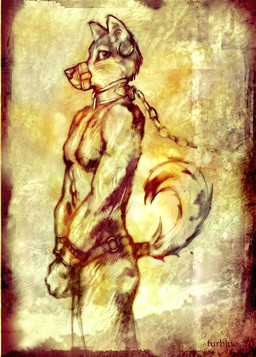 anthro bdsm biped bondage bound chain collar cuff_(restraint) ear_piercing leather looking_at_viewer male muzzle_(object) muzzled piercing restraints shackles solo standing submissive submissive_male tail turbinedivinity canid canine canis mammal wolf 2005