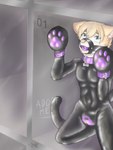 2022 3:4 anthro ball_gag bdsm blue_eyes bondage bondage_gear bondage_gloves bound bulge clothing collar collar_tag cuff_(restraint) domestic_cat drakethefox encasement felid feline felis fur gag gagged glistening glistening_clothing handwear hi_res kneeling latex latex_clothing latex_skinsuit lock_symbol looking_up male mammal null_bulge on_display petplay portrait restraints roleplay rubber_clothing signature skinsuit slave solo sora_(tehkey) symbol three-quarter_portrait tight_clothing wrist_cuffs yellow_body yellow_fur