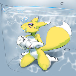 anthro asphyxiation bathtub big_tail breast_fondling breast_play breasts bubble drowning eyelashes female fondling fur genitals hand_on_breast looking_pleasured navel nipples solo tail underwater vulva water yellow_body yellow_fur byondrage bandai_namco digimon canid canine digimon_(species) fox mammal renamon hi_res