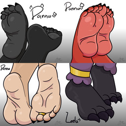 anthro danna_(minusdanna) feet female female_humanoid foot_fetish foot_focus group humanoid_feet plantigrade soles minusdanna leela_(minusdanna) avian bird human humanoid mammal penguin 1:1 absurd_res hi_res
