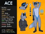 ace anthro blep blue_hair color_swatch hair long_tail male solo tail text tongue tongue_out valdith_zam canid canine canis mammal wolf absurd_res english_text hi_res model_sheet