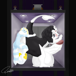 anthro balls big_balls big_butt big_penis black_body black_fur blue_body blue_fur butt duo elevator femboy fur genitals horn huge_balls huge_penis humanoid_genitalia humanoid_penis hyper hyper_balls hyper_genitalia hyper_penis male male/male penis size_difference small_dom_big_sub tail white_body white_fur reisuke_wolfox_(artist) reisuke_wolfox canid canine canis fox hybrid mammal sergal wolf 1:1 absurd_res hi_res
