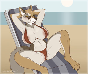 4_toes amber_eyes anthro areola barefoot beach big_breasts bikini bikini_bottom bikini_top black_nose breasts brown_body brown_fur chair claws clothed clothing day eyewear feet female fur furniture genitals grey_body grey_fur hands_behind_head hindpaw lounge_chair multicolored_body multicolored_fur navel nipple_outline outside paws pink_areola red_bikini red_clothing red_swimwear sea skimpy skimpy_bikini smile solo sun sunglasses swimwear tan_body tan_fur toe_claws toes two-piece_swimsuit vulva water wearing_sunglasses white_body white_fur spicychaikitten manzanita_(moonshinefalling) canid canine canis coyote mammal 2025 hi_res signature