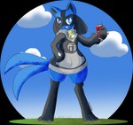 2_tails beverage_can blue_eyes can clothing cloud container grass holding_can holding_container holding_object looking_at_viewer male multi_tail paws plant simple_background sky smile smirk solo spikes spikes_(anatomy) standing sweater tail topwear noodleartz nintendo pokemon generation_4_pokemon lucario pokemon_(species) jade_(disambiguation) alpha_channel digital_media_(artwork) digital_painting_(artwork) hi_res shaded