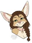 anthro braided_hair breasts brown_hair collar eyebrows eyelashes female hair pink_nose smile solo kittydee kiku_(sango-kaku) canid canine fennec_fox fox mammal true_fox 2020 digital_media_(artwork) headshot_portrait portrait