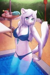 anthro bikini blue_eyes breasts cleavage clothed clothing female looking_at_viewer skimpy solo swimming_pool swimwear tight_clothing two-piece_swimsuit nayel-ie kira_(nekogirl1257) domestic_cat felid feline felis mammal 2013 2:3 absurd_res hi_res