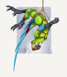 4_toes ambiguous_gender anthro arms_tied avian_feet bdsm beak black_body black_scales bondage bondage_gear bound claws digitigrade eyes_closed feathers featureless_crotch feet fully_bound green_body green_feathers legs_tied multicolored_body multicolored_feathers muzzle_(object) muzzled nude rainbow_body rainbow_feathers restraints rope rope_bondage rope_harness scales simple_background solo submissive submissive_ambiguous suspension talons toe_claws toes upside_down white_background zygodactyl rotarr ara_(genus) avian bird great_green_macaw macaw neotropical_parrot parrot true_parrot 2015 digital_media_(artwork)
